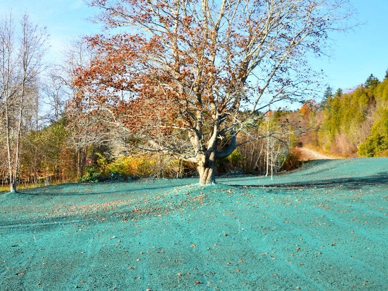 Hydroseeding Lawns - Dedham MA