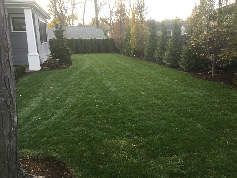 Landscape Maintenance Services by Salcorp Landscaping Walpole, MA