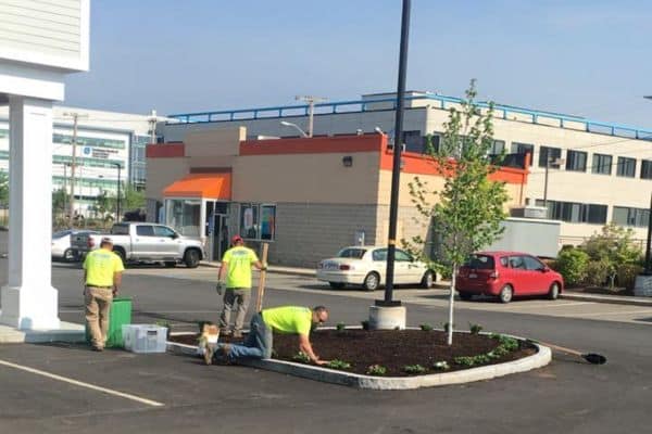 Landscape Plantings by Salcorp Landscaping